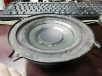 IMG_20241205_090327.jpg