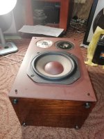 IMG_20241209_201656.jpg IMG_20241209_201656.jpg