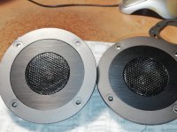 IMG_20241210_195046.jpg IMG_20241210_195046.jpg