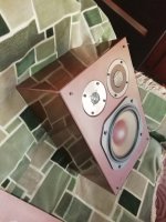 IMG_20241215_151236.jpg IMG_20241215_151236.jpg