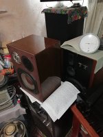 IMG_20241217_183808.jpg IMG_20241217_183808.jpg