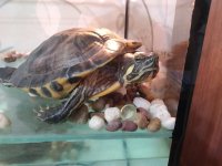 IMG_20201129_181420.jpg