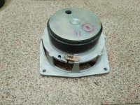 bP4sFp7VXj0.jpg bP4sFp7VXj0.jpg