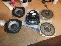 IMG_20250211_182655.jpg IMG_20250211_182655.jpg