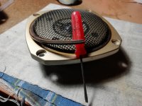 IMG_20250211_193500.jpg IMG_20250211_193500.jpg