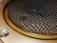 IMG_20250211_193724.jpg IMG_20250211_193724.jpg