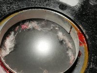 IMG_20250211_195042.jpg IMG_20250211_195042.jpg