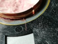 IMG_20250214_185815.jpg IMG_20250214_185815.jpg