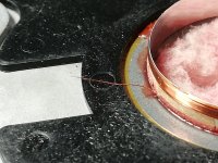 IMG_20250214_185822.jpg IMG_20250214_185822.jpg