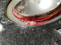 IMG_20250214_191026.jpg IMG_20250214_191026.jpg