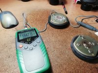 IMG_20250216_113656.jpg IMG_20250216_113656.jpg