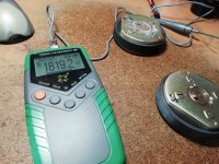 IMG_20250216_113802.jpg IMG_20250216_113802.jpg