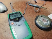 IMG_20250216_114121.jpg IMG_20250216_114121.jpg