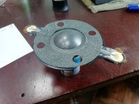 IMG_20250218_143032.jpg IMG_20250218_143032.jpg