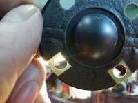 IMG_20250218_144118.jpg IMG_20250218_144118.jpg