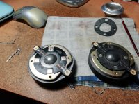 IMG_20250218_203918.jpg IMG_20250218_203918.jpg