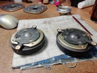 IMG_20250218_204105.jpg IMG_20250218_204105.jpg