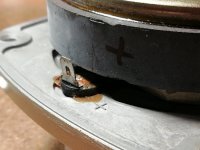 IMG_20250211_194738.jpg IMG_20250211_194738.jpg