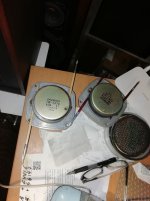 IMG_20250218_205546.jpg IMG_20250218_205546.jpg