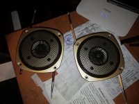 IMG_20250220_065355.jpg IMG_20250220_065355.jpg