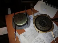 IMG_20250220_065408.jpg IMG_20250220_065408.jpg