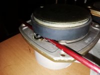 IMG_20250220_065415.jpg IMG_20250220_065415.jpg