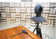 микрофон - голова.jpg