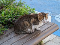 AGC_20250417_144718248_новый размер.jpg