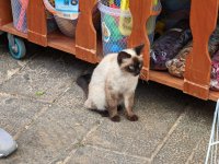 AGC_20250417_123325581_новый размер.jpg