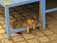 AGC_20250417_122633698_новый размер.jpg