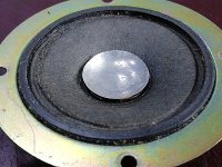 IMG_20250424_130052.jpg