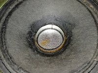 IMG_20250425_133354.jpg