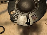 PXL_20250428_135556399.jpg PXL_20250428_135556399.jpg