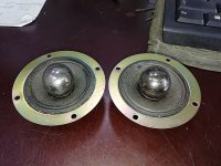 IMG_20250429_093002.jpg