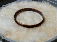 IMG_20250429_184330.jpg IMG_20250429_184330.jpg