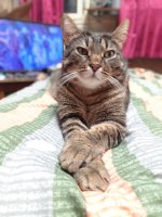 Ну-ну о чем это вы тут.jpg