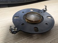 PXL_20250506_045256609.jpg