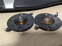 PXL_20250506_045303710.jpg PXL_20250506_045303710.jpg