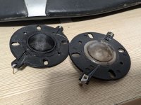PXL_20250506_045322983.jpg