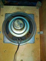 IMG_20250515_162520_056.jpg