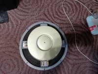 IMG_20250516_202631.jpg