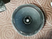 IMG_20250516_202658.jpg