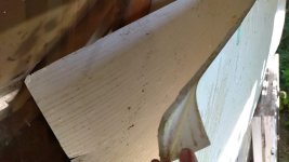 WhatsApp Image 2025-05-23 at 10.06.38.jpeg