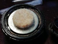IMG_20250505_150008.jpg