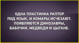 image (4697).png