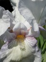 IMG_20250601_125140.jpg