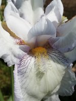 IMG_20250601_125150.jpg