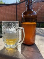 IMG_6523.jpeg