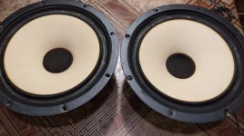 WhatsApp Image 2025-06-14 at 14.49.50.jpeg