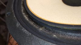 WhatsApp Image 2025-06-14 at 14.49.52.jpeg